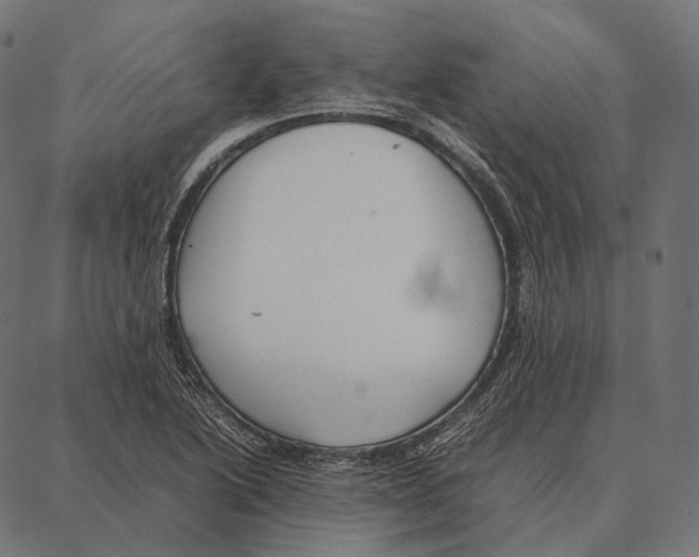 X0000087361222200705181143