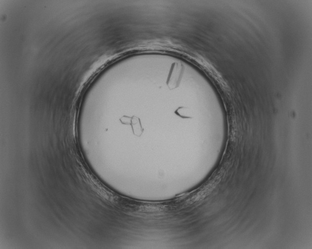 X0000087361224200705181143