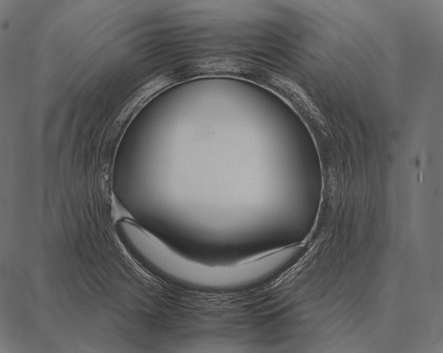 X0000087361225200705181143