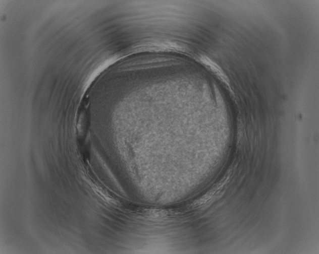 X0000087361226200705181143