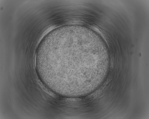 X0000087361227200705181143