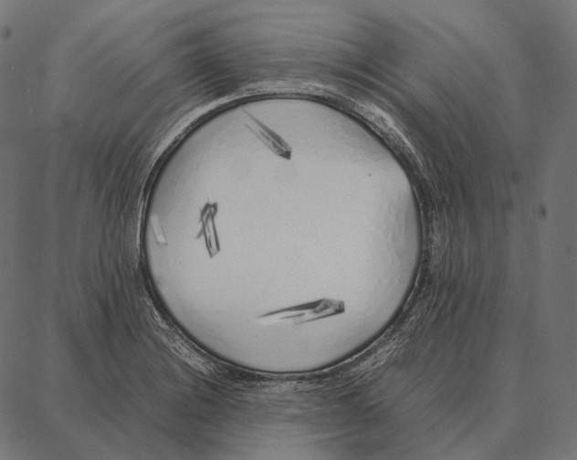 X0000087361228200705181143