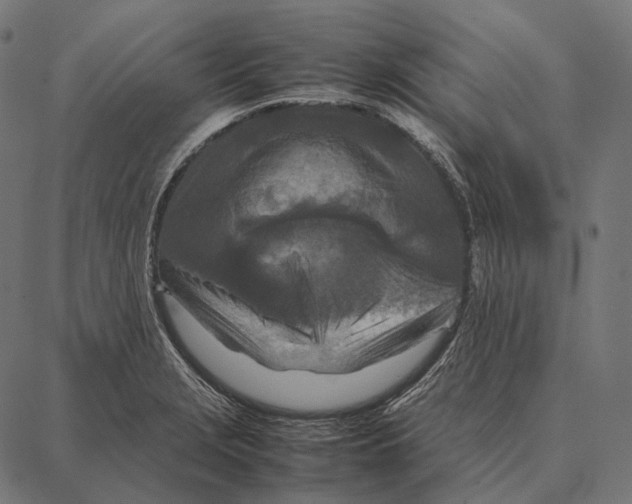 X0000087361229200705181143