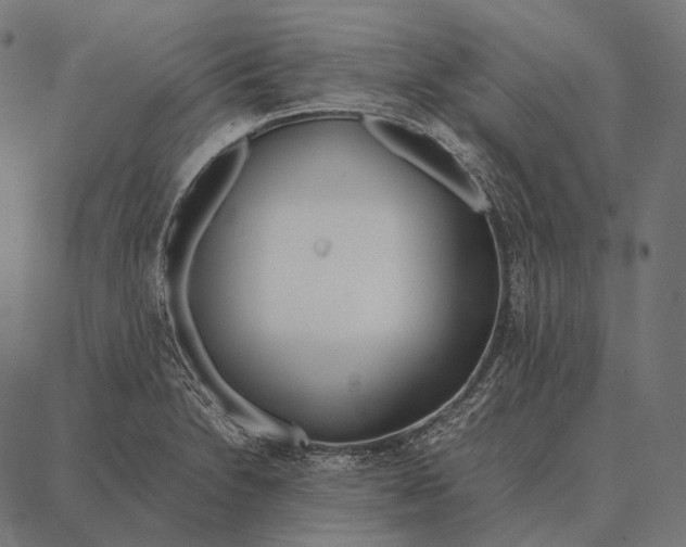 X0000087361230200705181143