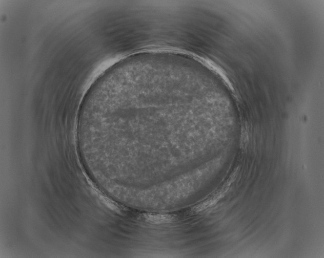 X0000087361231200705181143