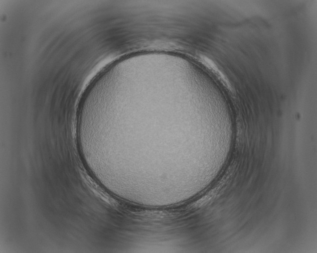 X0000087361232200705181143