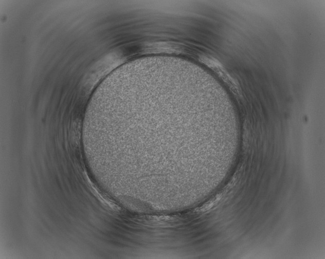 X0000087361233200705181143