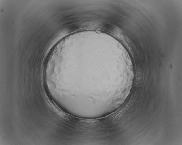 X0000087361235200705181143