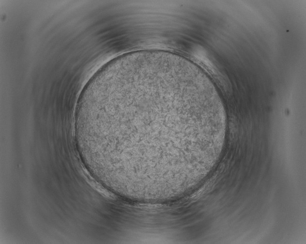 X0000087361236200705181143