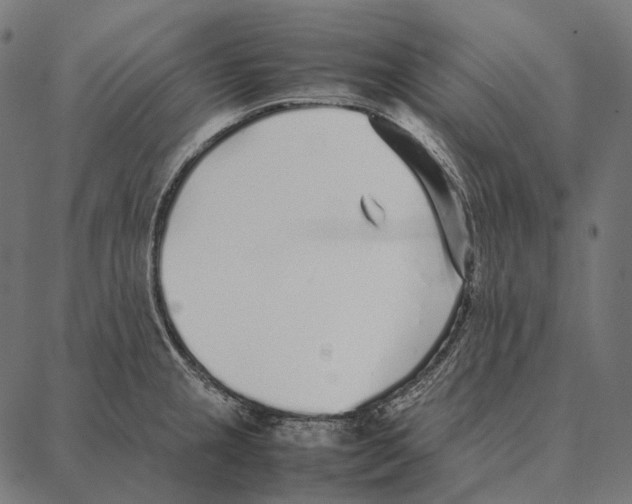 X0000087361237200705181143