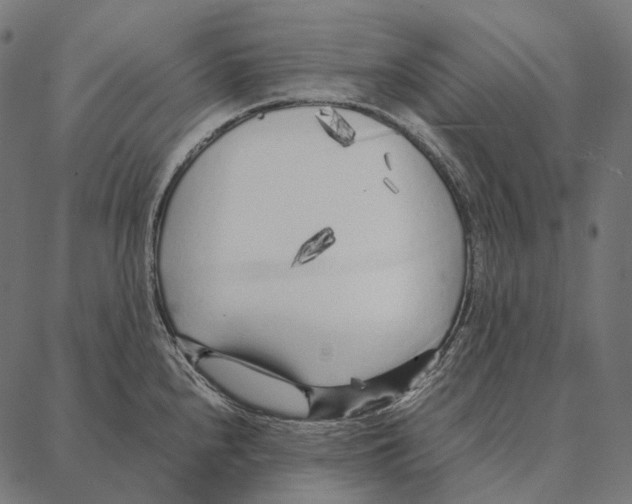 X0000087361240200705181143