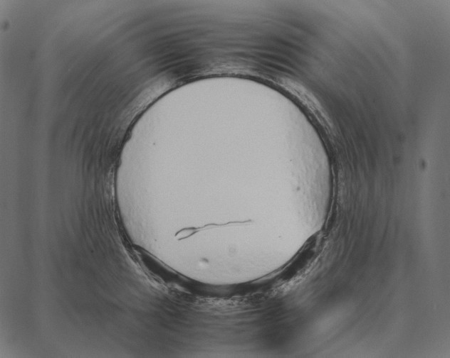 X0000087361241200705181143