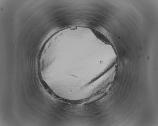 X0000087361243200705181143