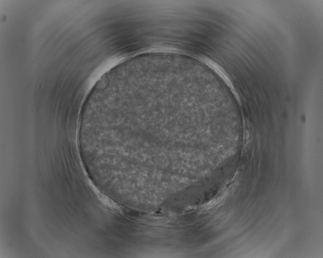 X0000087361245200705181143