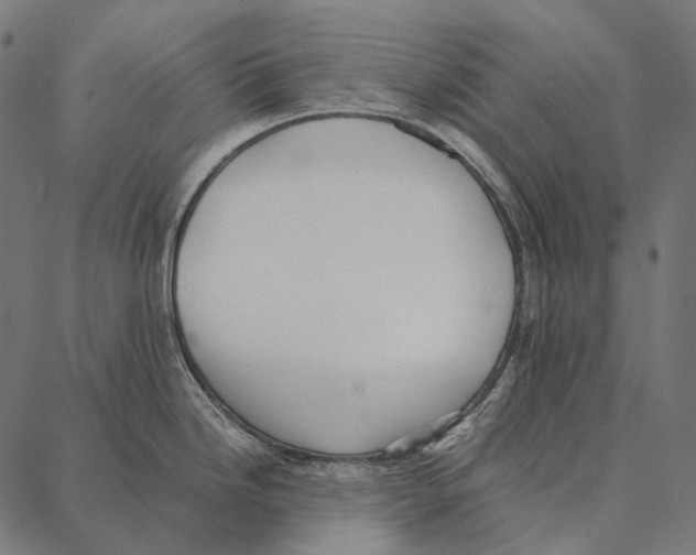 X0000087361246200705181143