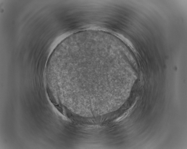 X0000087361247200705181143