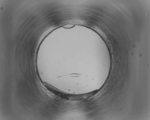 X0000087361248200705181143