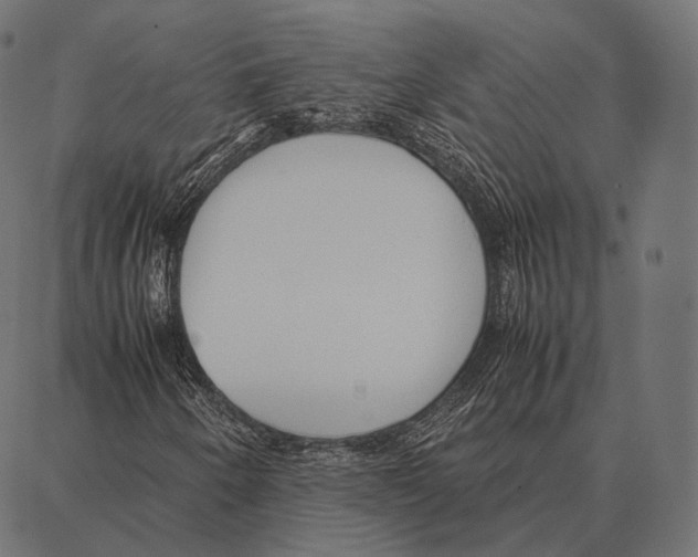 X0000087361250200705181143