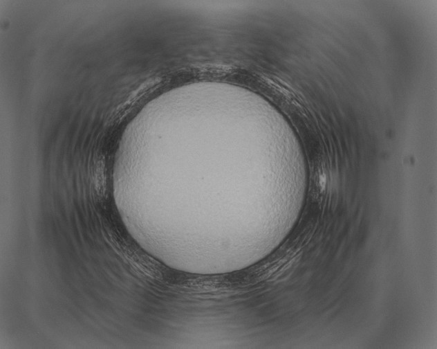 X0000087361252200705181143