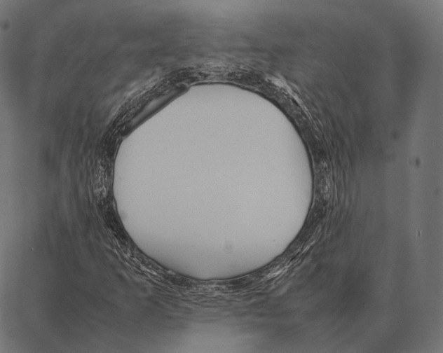 X0000087361253200705181143