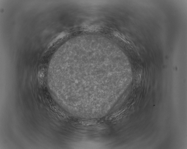 X0000087361254200705181143