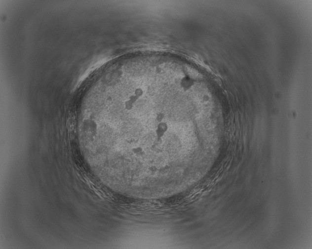 X0000087361255200705181143