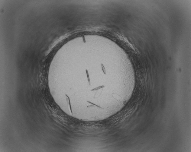 X0000087361256200705181143