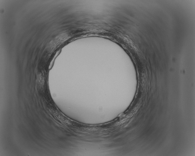 X0000087361257200705181143