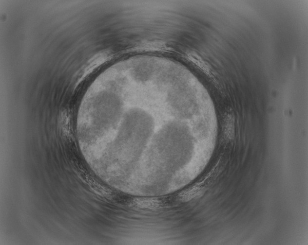 X0000087361258200705181143