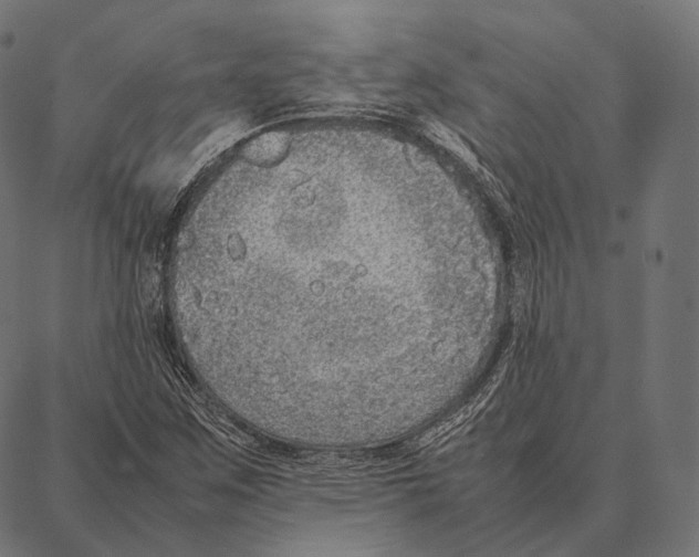 X0000087361259200705181143