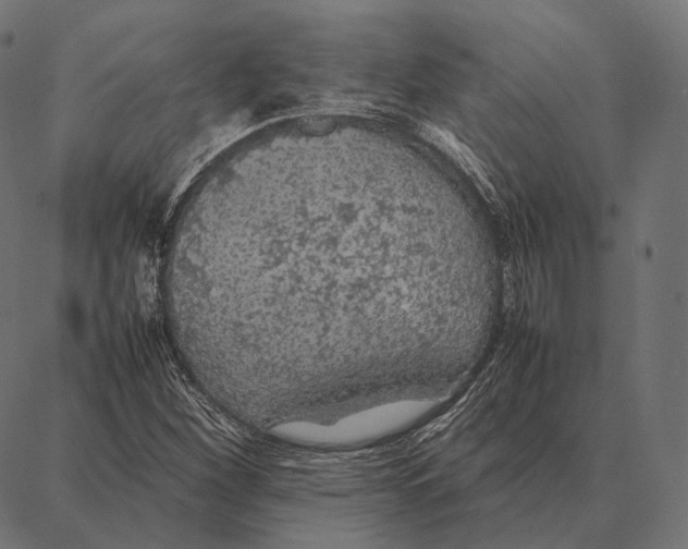 X0000087361260200705181143