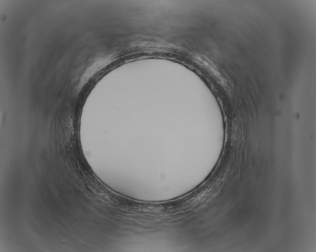 X0000087361261200705181142