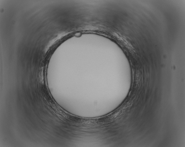 X0000087361262200705181142