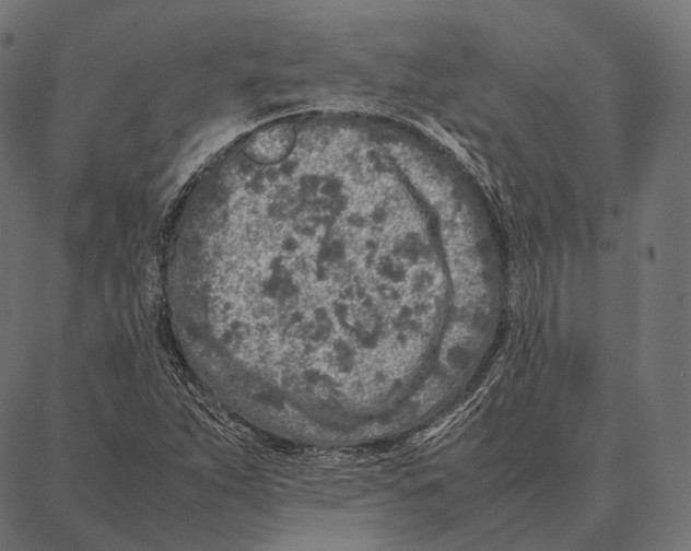 X0000087361263200705181142