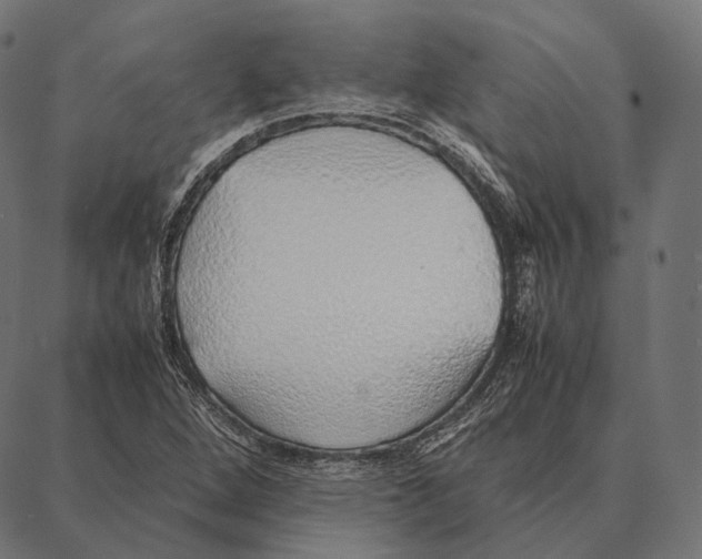 X0000087361264200705181142