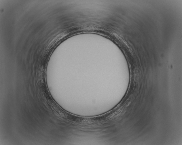 X0000087361265200705181142