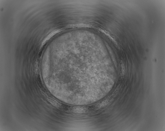 X0000087361266200705181142