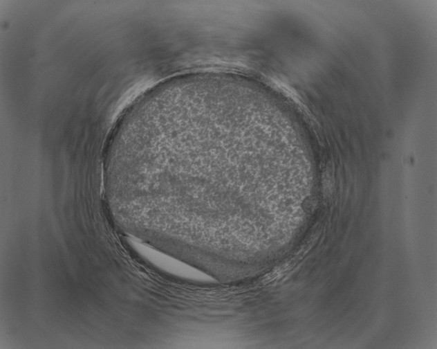 X0000087361267200705181142