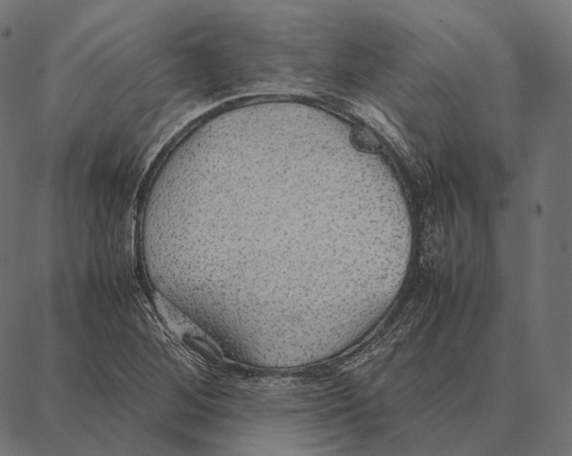 X0000087361268200705181142