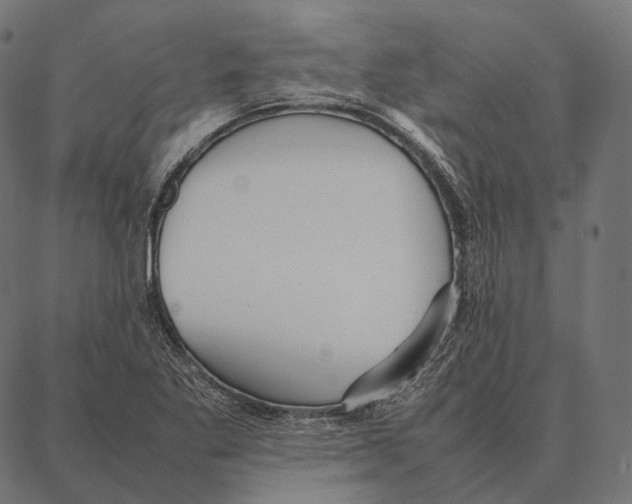 X0000087361269200705181142