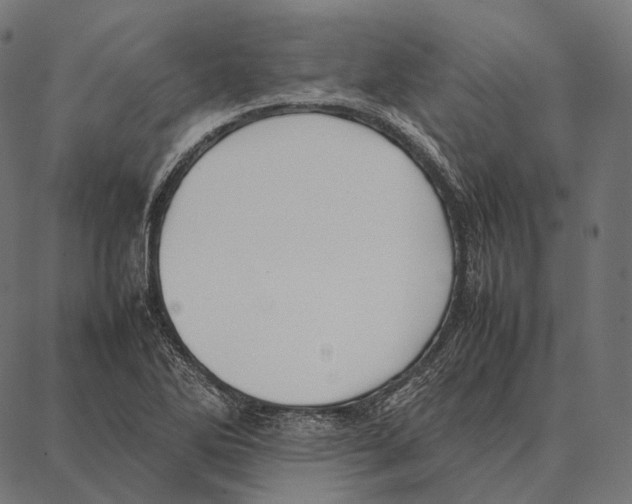 X0000087361270200705181142