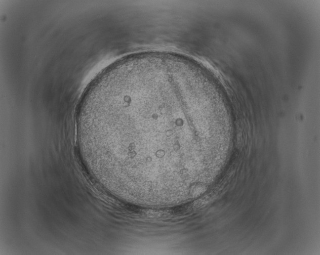 X0000087361271200705181142