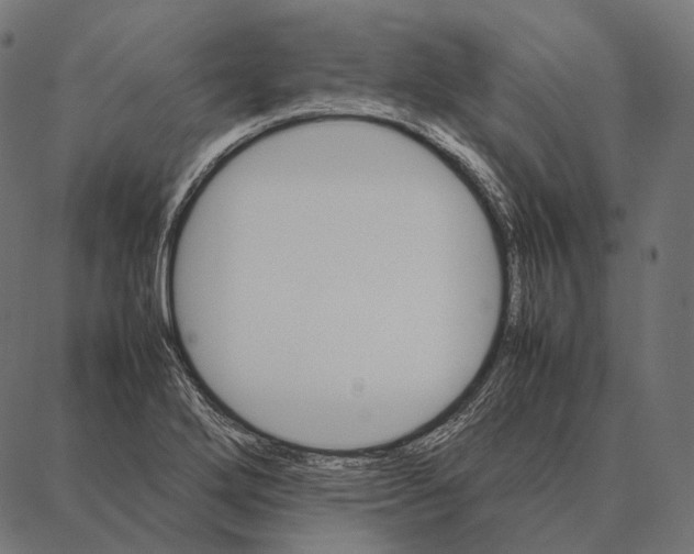 X0000087361272200705181142