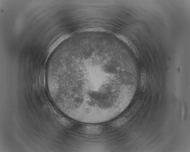 X0000087361274200705181142