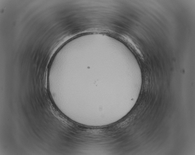 X0000087361276200705181142