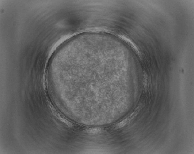 X0000087361278200705181142