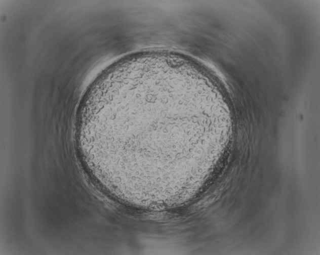 X0000087361279200705181142