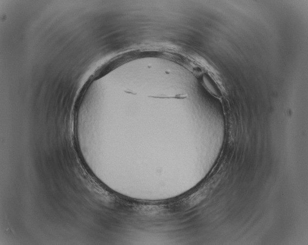 X0000087361280200705181142