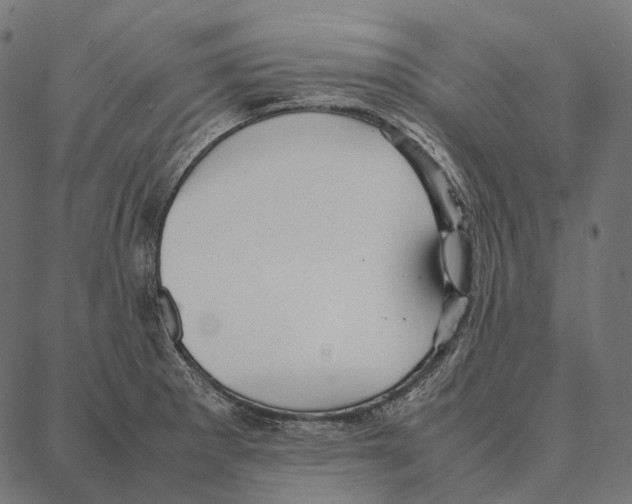 X0000087361281200705181142