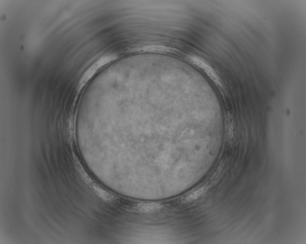 X0000087361282200705181142